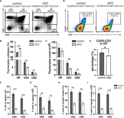 The nuclear GYF protein CD2BP2/U5–52K is required for T cell homeostasis